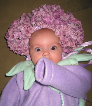 flower2.jpg