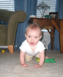 img_3133.gif